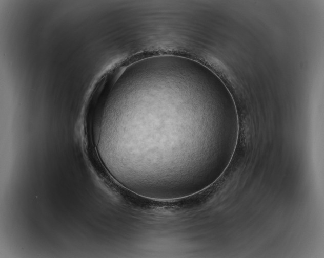 X0000088490680200705221427