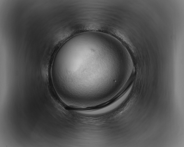 X0000088490681200705221427