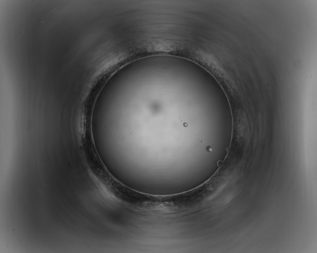X0000088490683200705221427