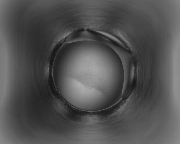 X0000088490685200705221427