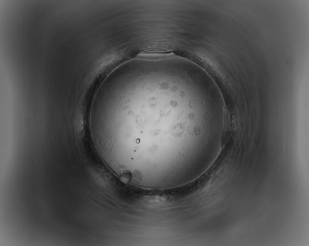 X0000088490687200705221427
