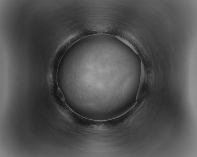 X0000088490688200705221427