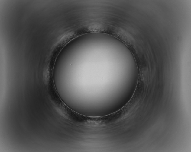 X0000088490690200705221427