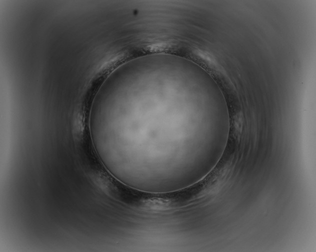 X0000088490691200705221427