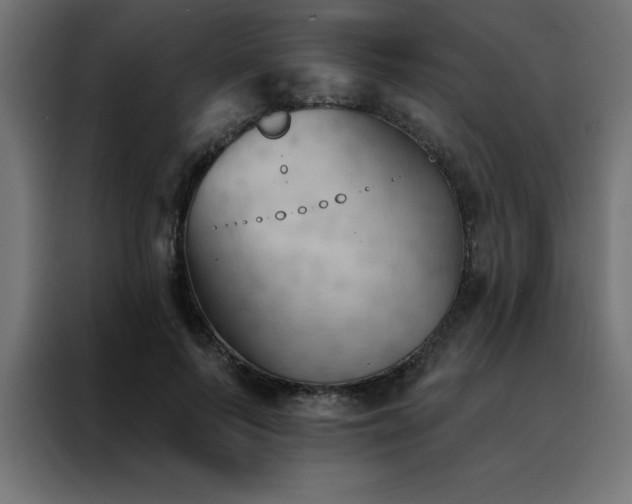 X0000088490695200705221427
