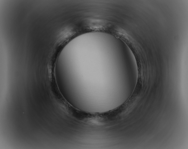 X0000088490696200705221427