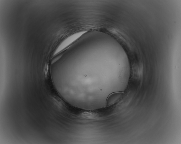 X0000088490699200705221427