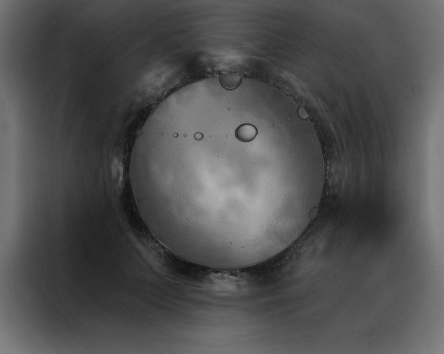 X0000088490703200705221427