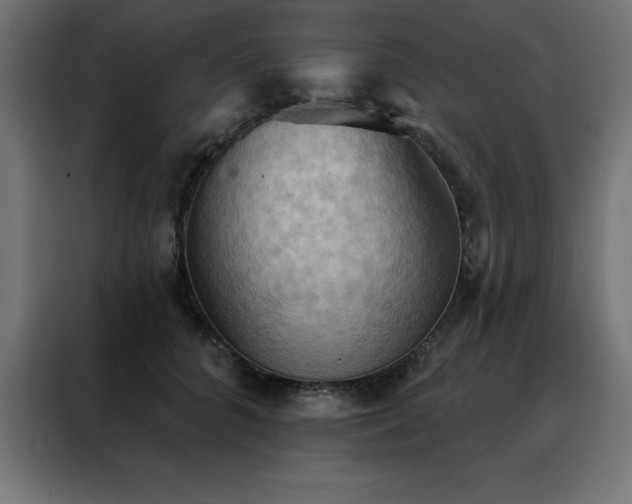 X0000088490704200705221427