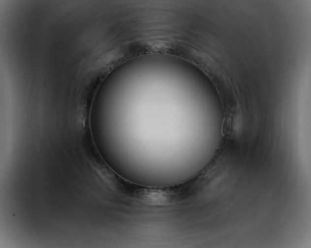 X0000088490710200705221427