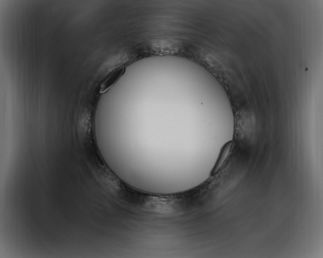 X0000088490713200705221427