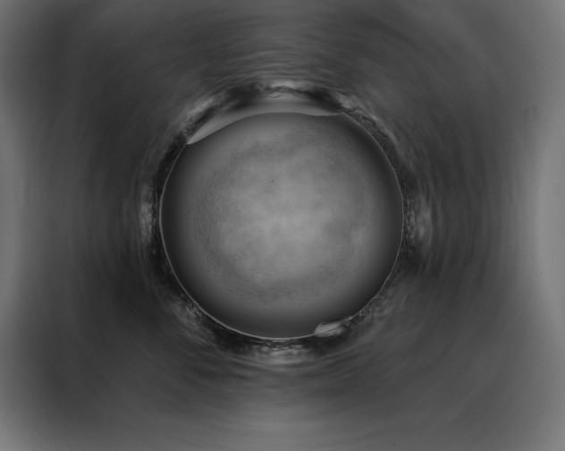 X0000088490716200705221427