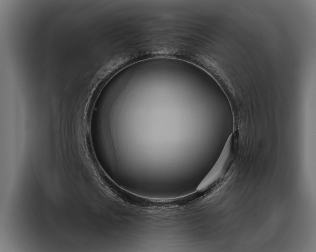 X0000088490721200705221426