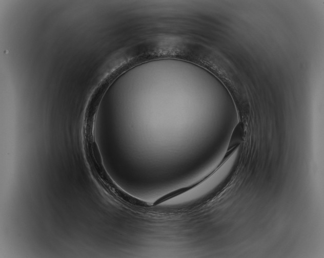 X0000088490722200705221426