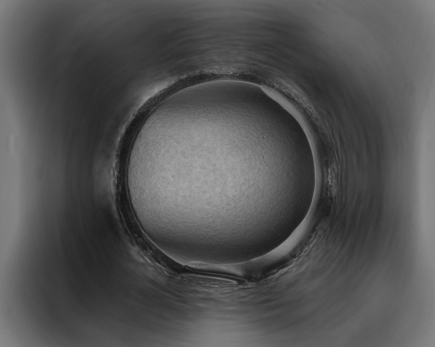 X0000088490724200705221426