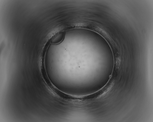 X0000088490725200705221426