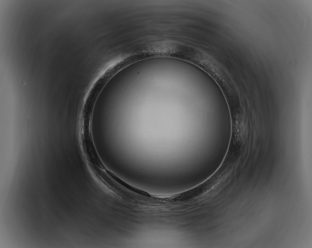 X0000088490726200705221426