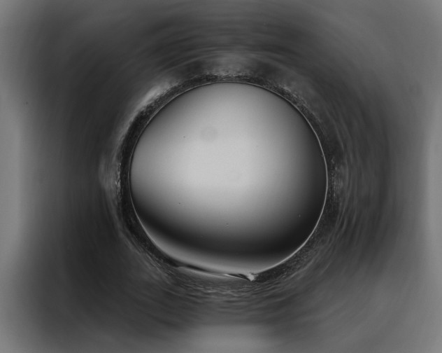 X0000088490727200705221426