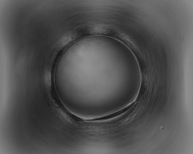 X0000088490729200705221426