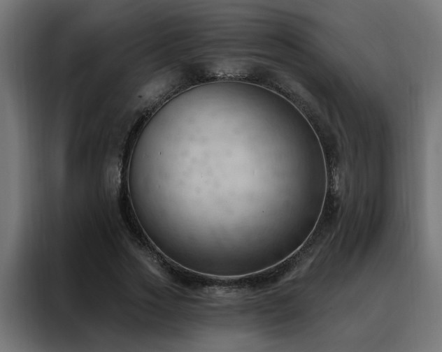 X0000088490733200705221426