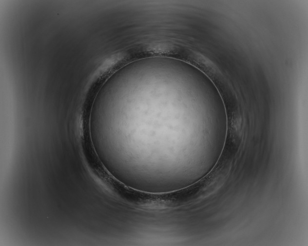 X0000088490734200705221426