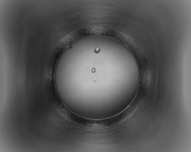 X0000088490737200705221426