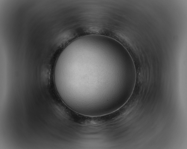 X0000088490739200705221426