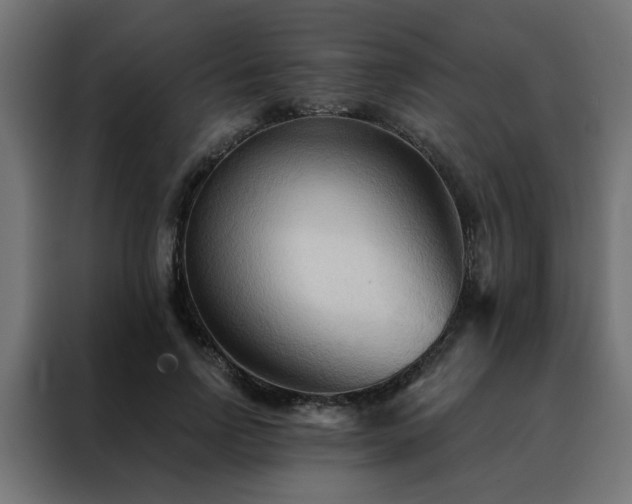 X0000088490742200705221426