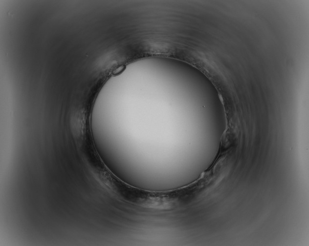 X0000088490744200705221426