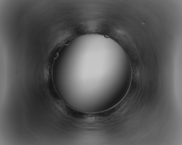 X0000088490746200705221426