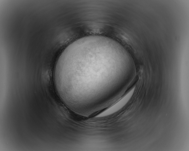 X0000088490747200705221426