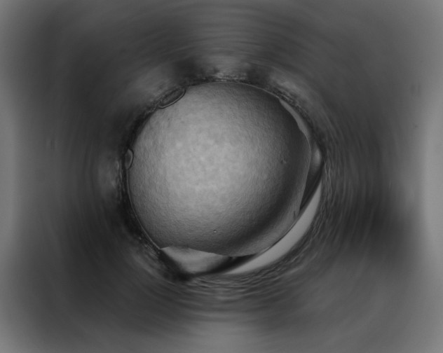 X0000088490748200705221426