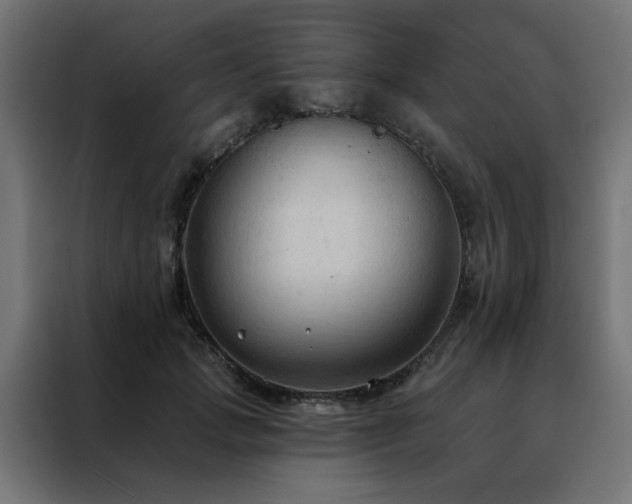 X0000088490749200705221426