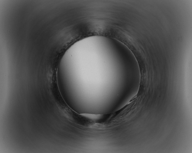 X0000088490750200705221426