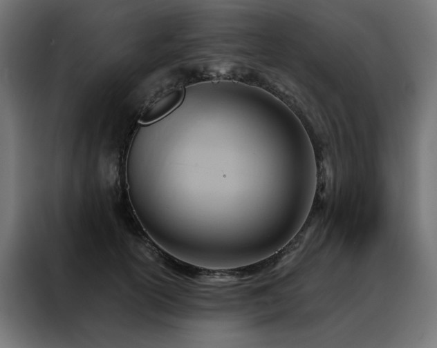 X0000088490754200705221427