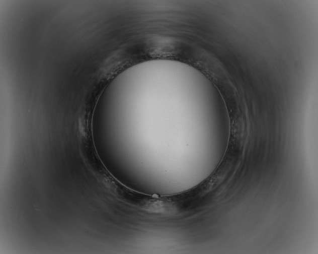 X0000088490755200705221427