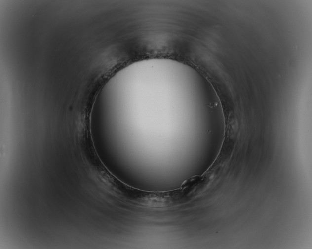 X0000088490756200705221427