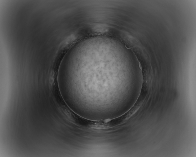 X0000088490758200705221427