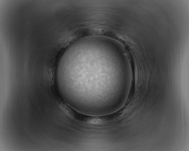 X0000088490759200705221427