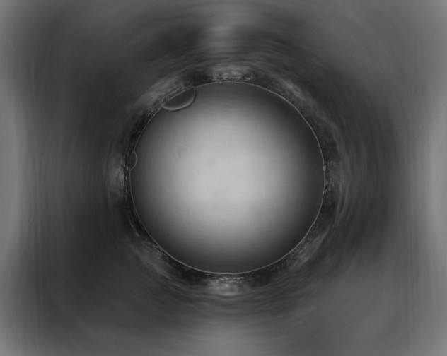 X0000088490761200705221427