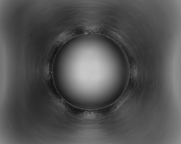 X0000088490764200705221427
