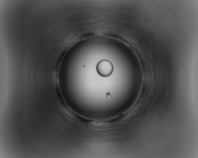 X0000088490766200705221427