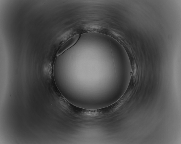 X0000088490767200705221427