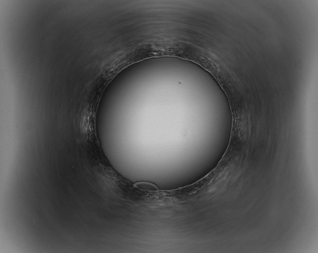 X0000088490770200705221426