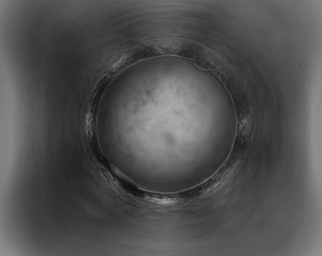 X0000088490772200705221426