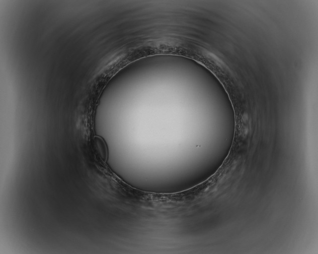 X0000088490774200705221426