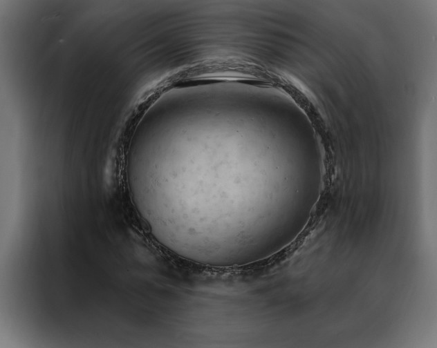 X0000088490775200705221426