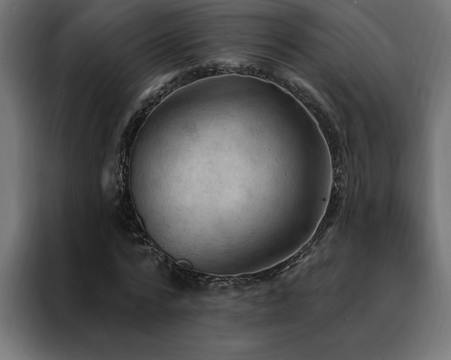 X0000088490776200705221426