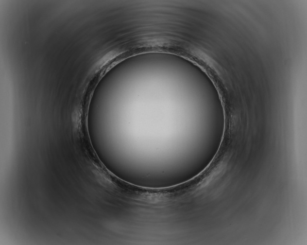 X0000088490778200705221426