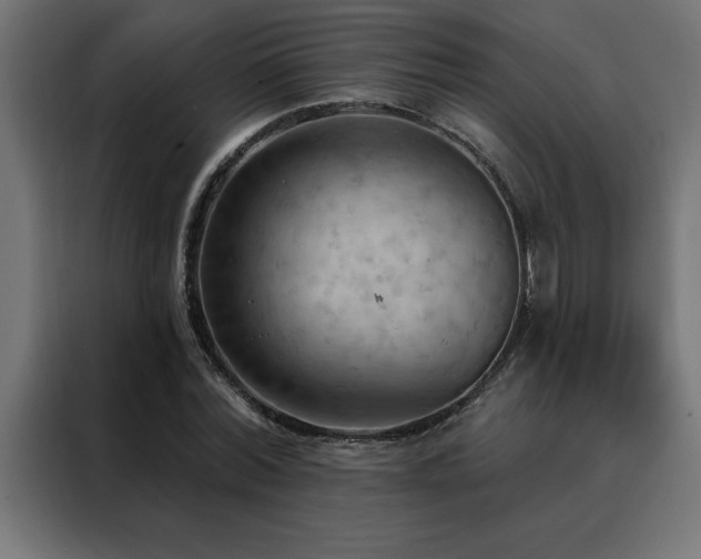 X0000088490780200705221426
